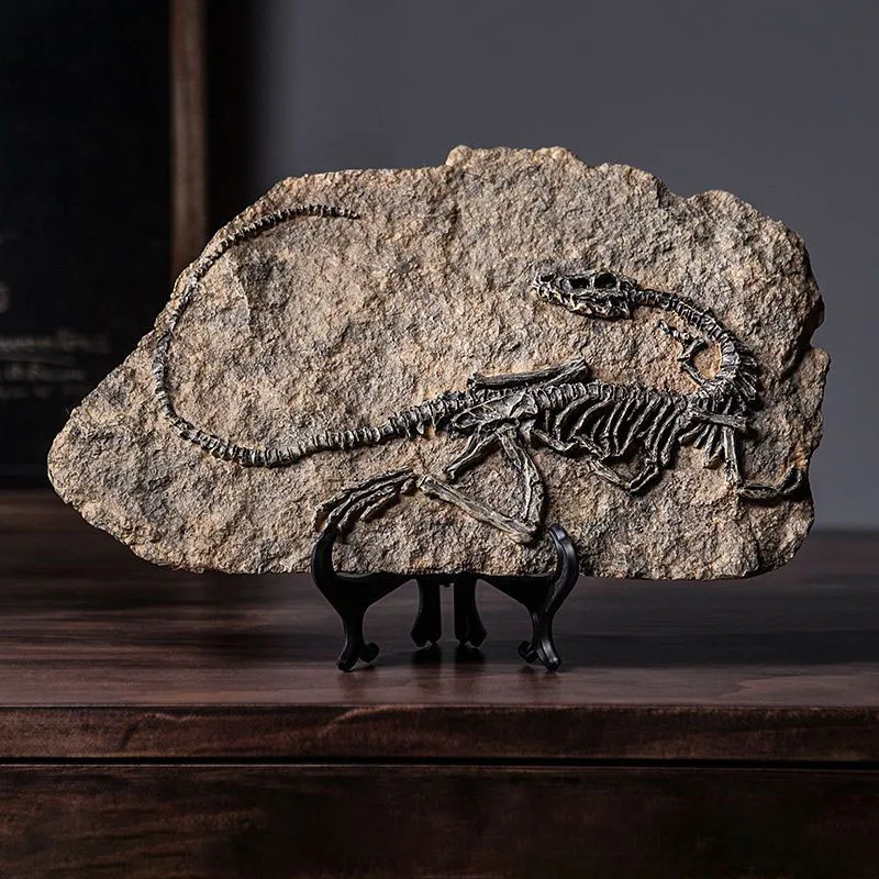 模擬恐竜化石モデル樹脂製アクセサリー アート ホーム リビン - Resin Art Decoration Items のレビューと価格