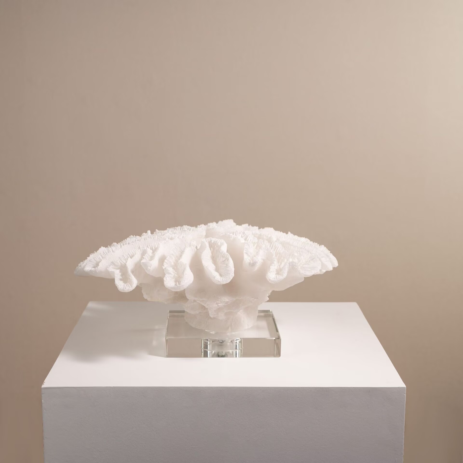 室内装飾品 アート彫刻 ノルディック風サンゴの置物 書斎 ワ - Resin Art Decoration Items のレビューと価格